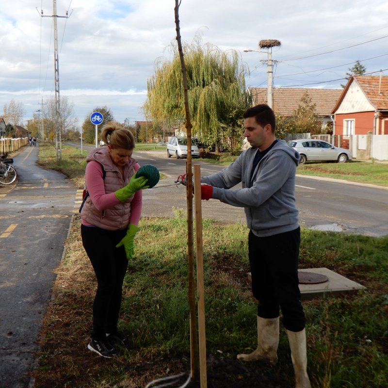 Közösségi faültetés Berettyóújfaluban 18